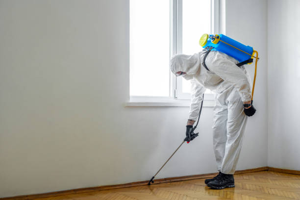 Best Residential Pest Control  in Toquerville, UT